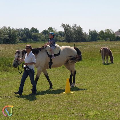 Pferdeerlebnis Seewinkel - Fotogalerie auf der Koppel 006 © Klaudia Kögl