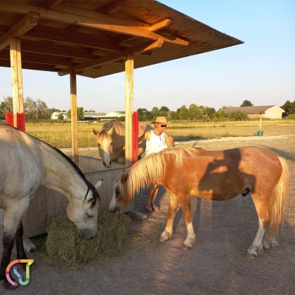 Pferdeerlebnis Seewinkel - Fotogalerie auf der Koppel 017 © Klaudia Kögl