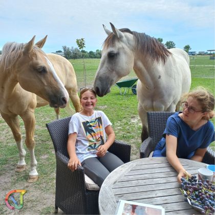 Pferdeerlebnis Seewinkel - Fotogalerie auf der Koppel 2-04 © Klaudia Kögl