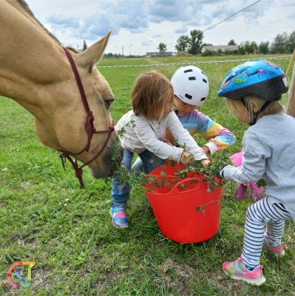 Pferdeerlebnis Seewinkel - Fotogalerie auf der Koppel 2-09 © Klaudia Kögl